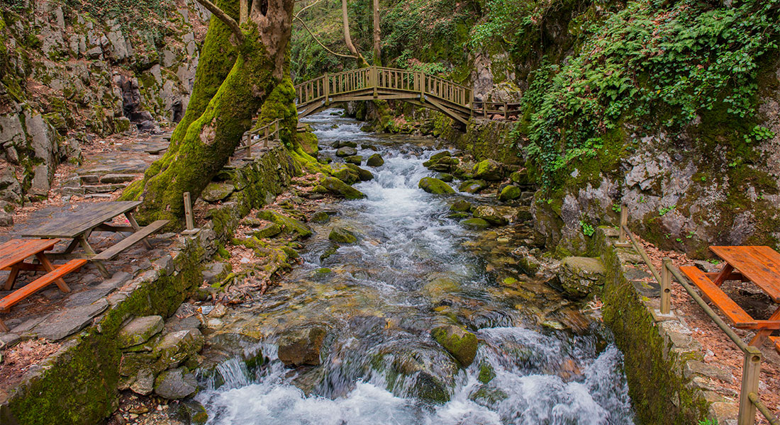 Kazdağı Milli Parkı Ayazma